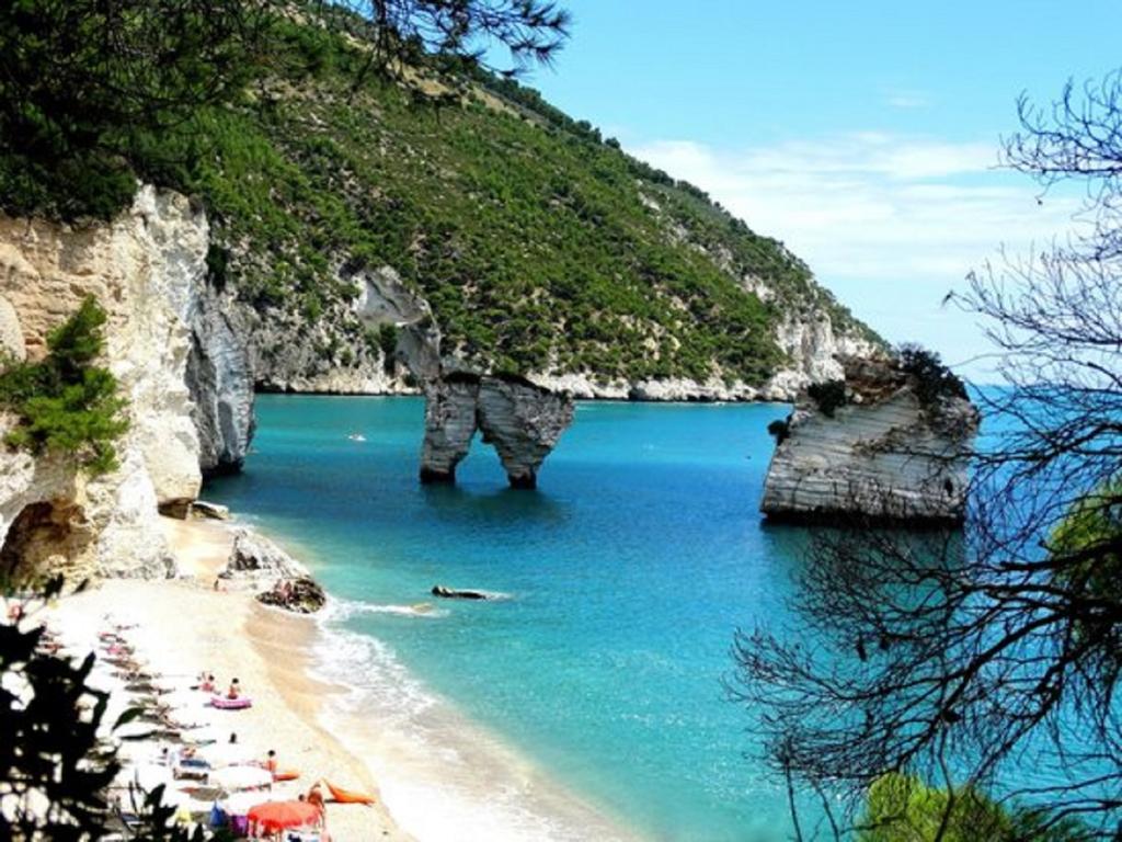 Hotel Alba Del Gargano 马蒂纳塔 外观 照片