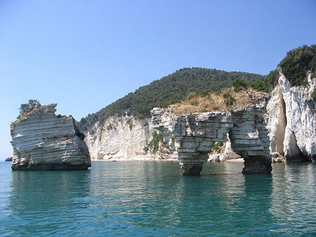 Hotel Alba Del Gargano 马蒂纳塔 外观 照片