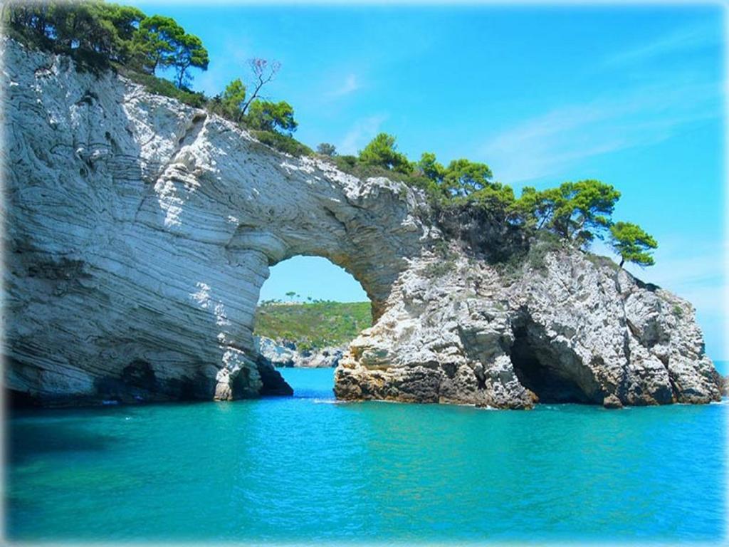 Hotel Alba Del Gargano 马蒂纳塔 外观 照片