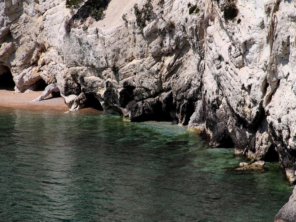 Hotel Alba Del Gargano 马蒂纳塔 外观 照片