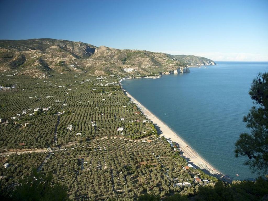 Hotel Alba Del Gargano 马蒂纳塔 外观 照片